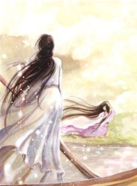 白天鹅的羽翅