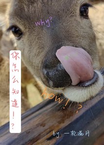 你怎麼知道!?